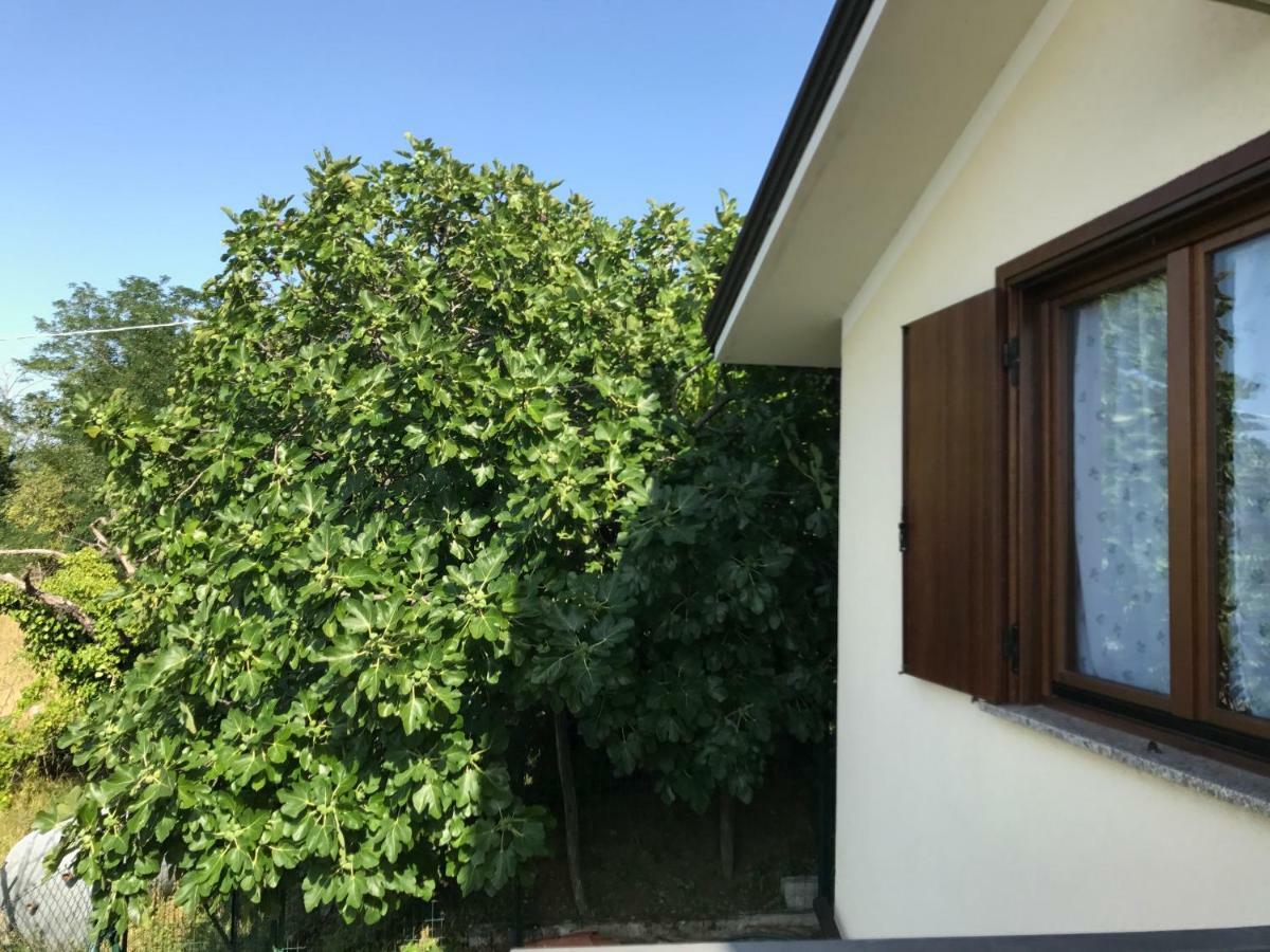 La Casa Di Nonna Bruna Муджа Экстерьер фото