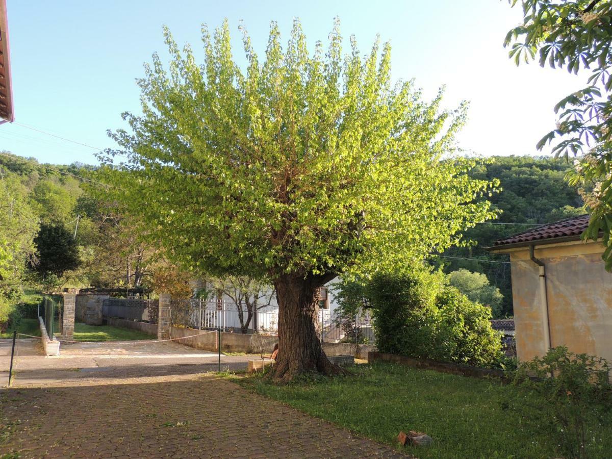 La Casa Di Nonna Bruna Муджа Экстерьер фото