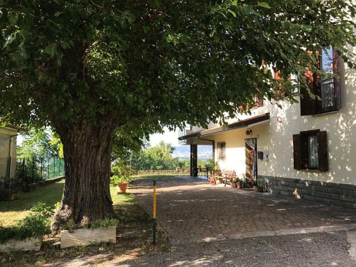 La Casa Di Nonna Bruna Муджа Экстерьер фото